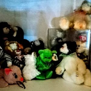Cat Beanie Baby Collection